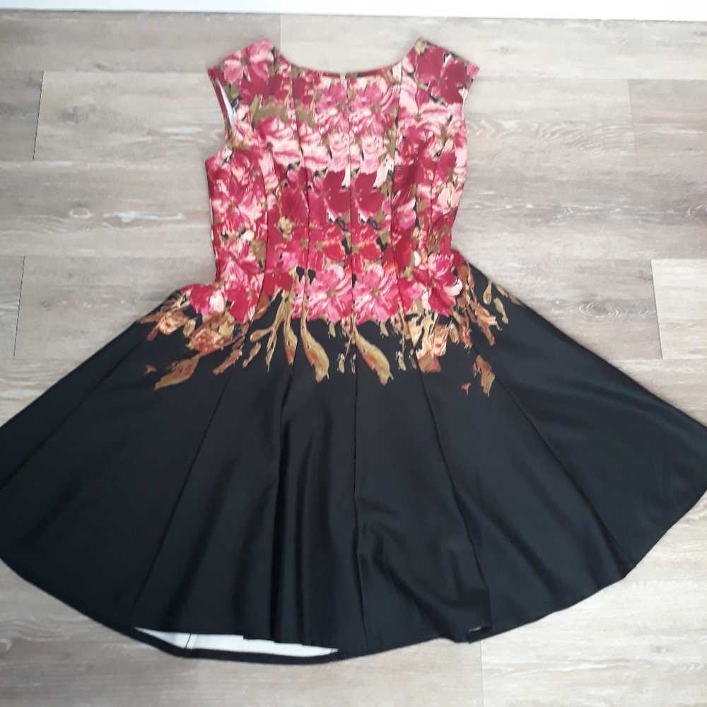 Red Black Floral Fit and Flare Dress 10P